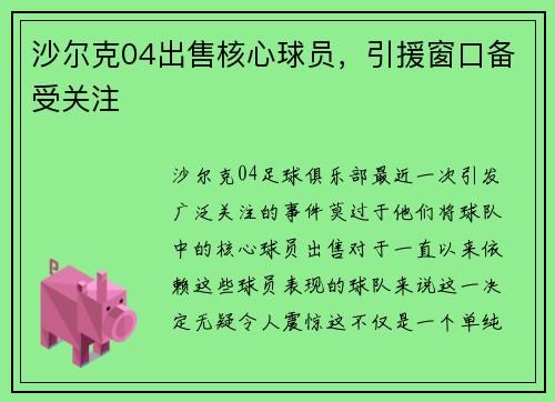 沙尔克04出售核心球员，引援窗口备受关注